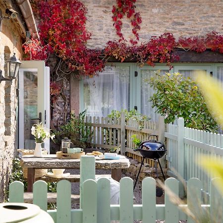 Daisy Cottage Paignton Exterior photo