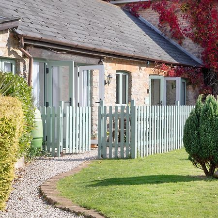 Daisy Cottage Paignton Exterior photo