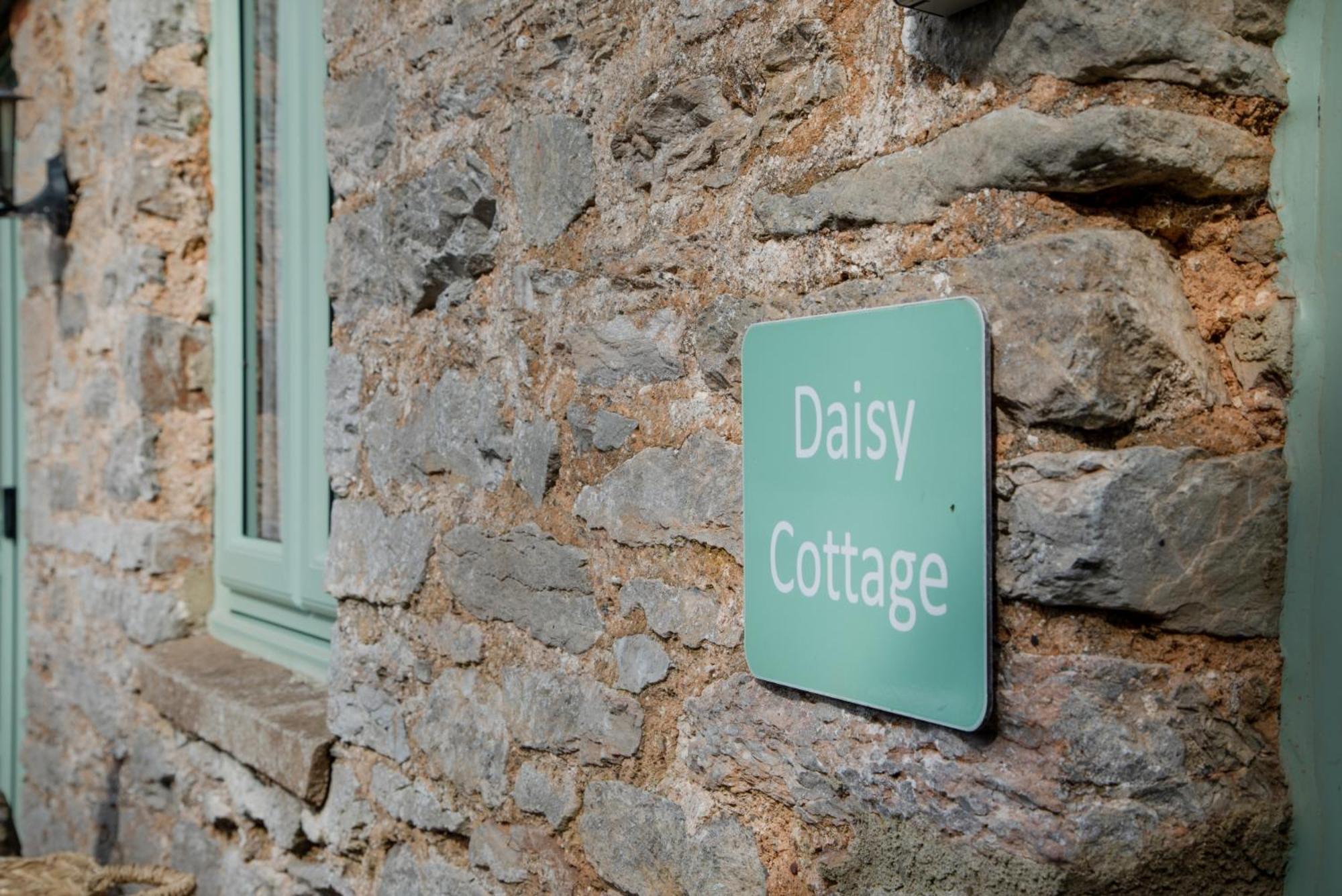 Daisy Cottage Paignton Exterior photo